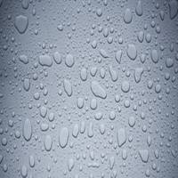 纯色底头像动漫女