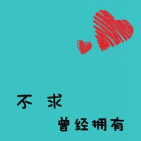 白底动物简约卡通头像 白底动物简约卡通头像