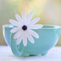 白色简约高清唯美壁纸