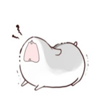 微信头像简约女生白色