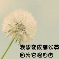 白色头发简约动漫头像