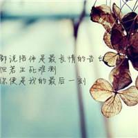 头像手绘黑白简约复古