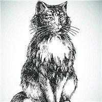 蜡笔小新简约头像女生