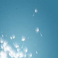 情侣头像两张一对加名片背景图片