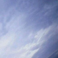 动漫头像女生黑白花瓣背景图片