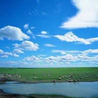 白色背景图片励志带字头像女