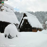 钓鱼头像下雪图片