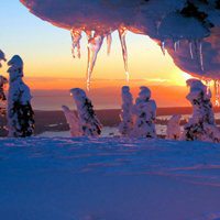 长发背影下雪头像图片