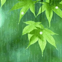 下雨打伞背影微信头像