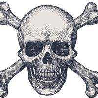 微信头像可爱骷髅头