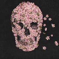 最好看的骷髅头像