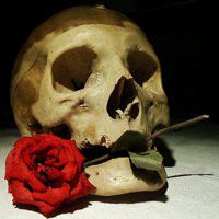 maps双声道骷髅头像