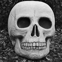 微信头像骷髅头动态冒烟