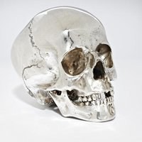 微信头像骷髅头图片会动