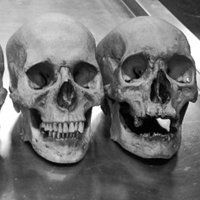 蓝色的死神骷髅头像大全