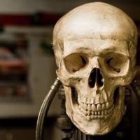 戴着黑帽子的骷髅头像