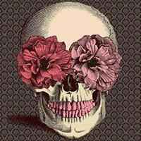 男生骷髅头像霸气十足