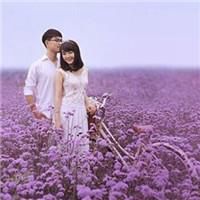 可爱情侣头像无字