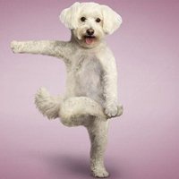 微信头像运动图片大海 微信头像运动图片大海