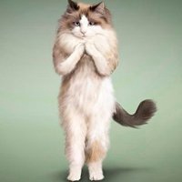 阳光女生运动头像女生