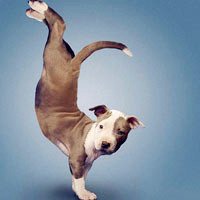 运动头像男漫画图片 运动头像男漫画图片