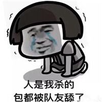 thebridge游戏头像