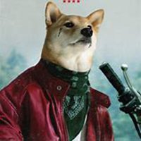 高富帅爱用的头像