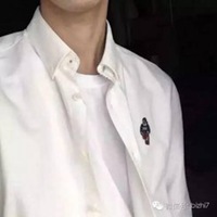 美国成熟男人头像集