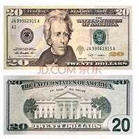 20美元头像
