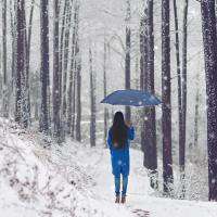 冬天女生头像图片大全