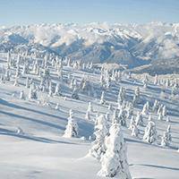 冬天女生头像图片大全