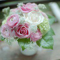 唯美春天的微信头像图片