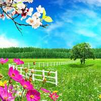 唯美春天的微信头像图片