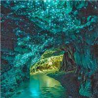 唯美春天的微信头像图片