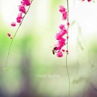 唯美春天的微信头像图片