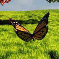 唯美春天的微信头像图片