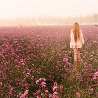 在花丛中的女生头像