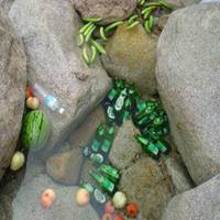 夏天头像图片大全集