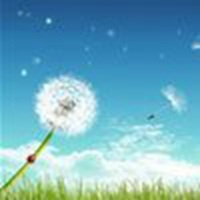 夏天清爽景色头像