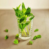 夏天清爽景色头像