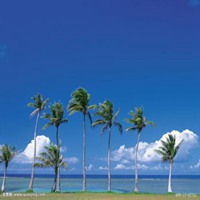 夏天清爽景色头像