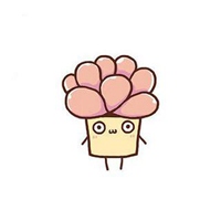 多肉头像卡通图片