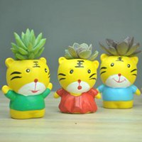 多肉头像卡通图片