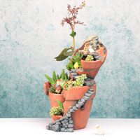 多肉头像卡通图片