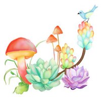 多肉头像卡通图片