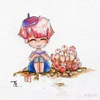 多肉头像卡通图片