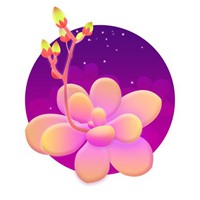 多肉头像卡通图片