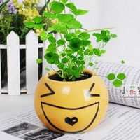 小盆栽头像