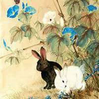 属兔本命年头像