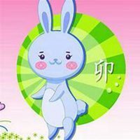 属兔本命年头像